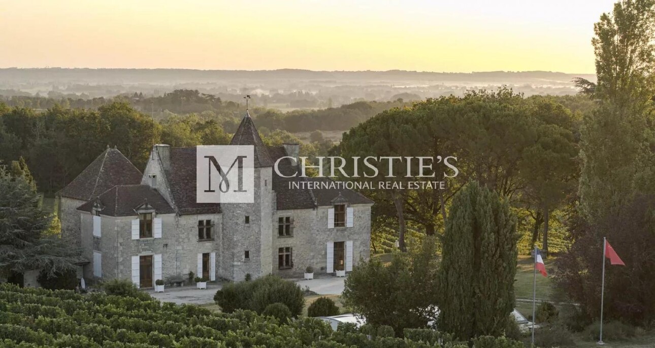 Photos 3 - Vineyard - Exclusive:  Entre-Deux-Mers Magnificent turnkey historic vineyard estate for sale