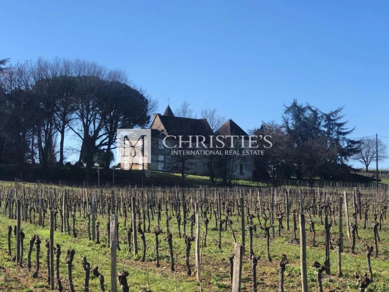 Photos 5 - Vineyard - Exclusive:  Entre-Deux-Mers Magnificent turnkey historic vineyard estate for sale