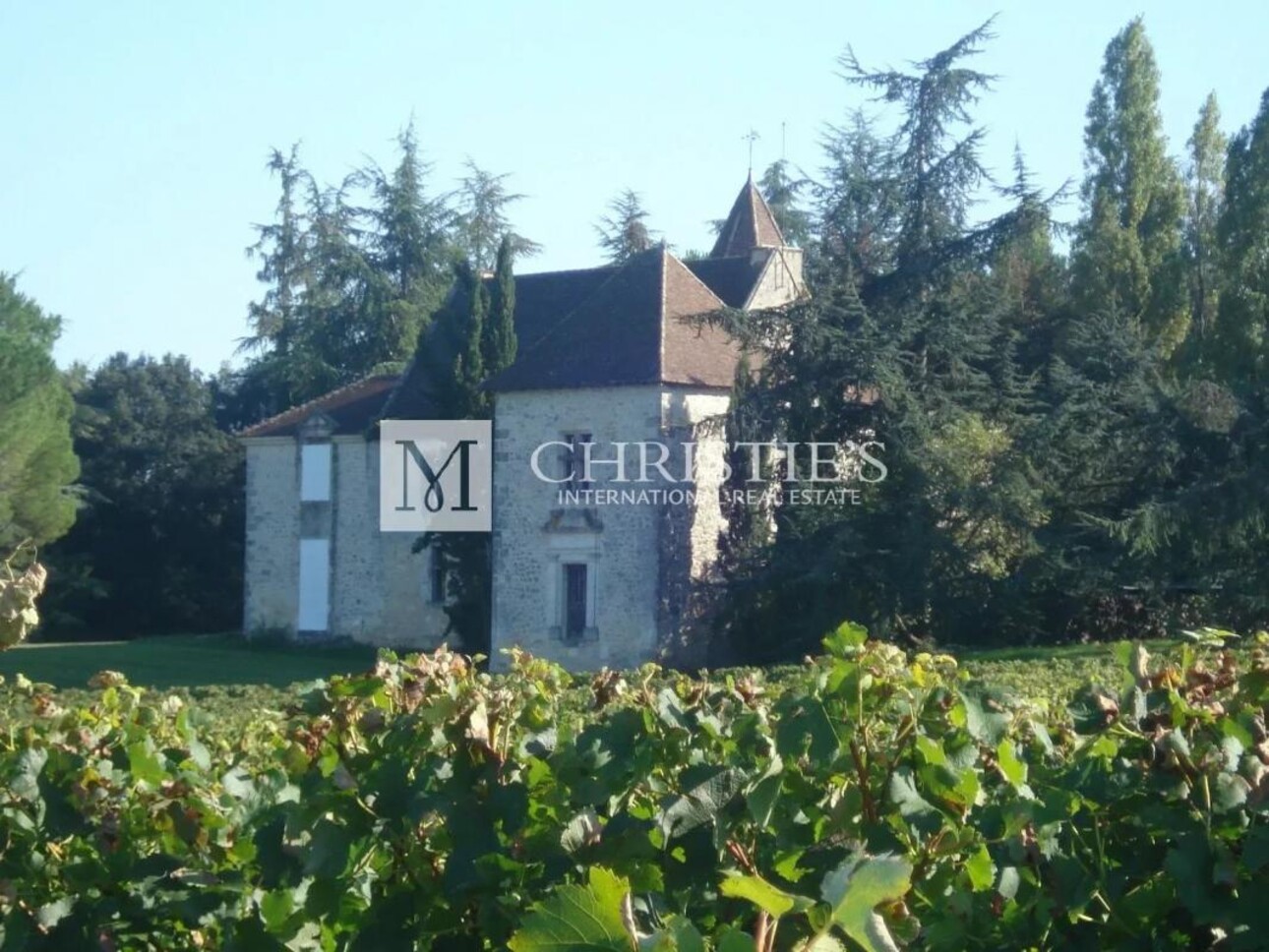 Photos 16 - Vineyard - Exclusive:  Entre-Deux-Mers Magnificent turnkey historic vineyard estate for sale