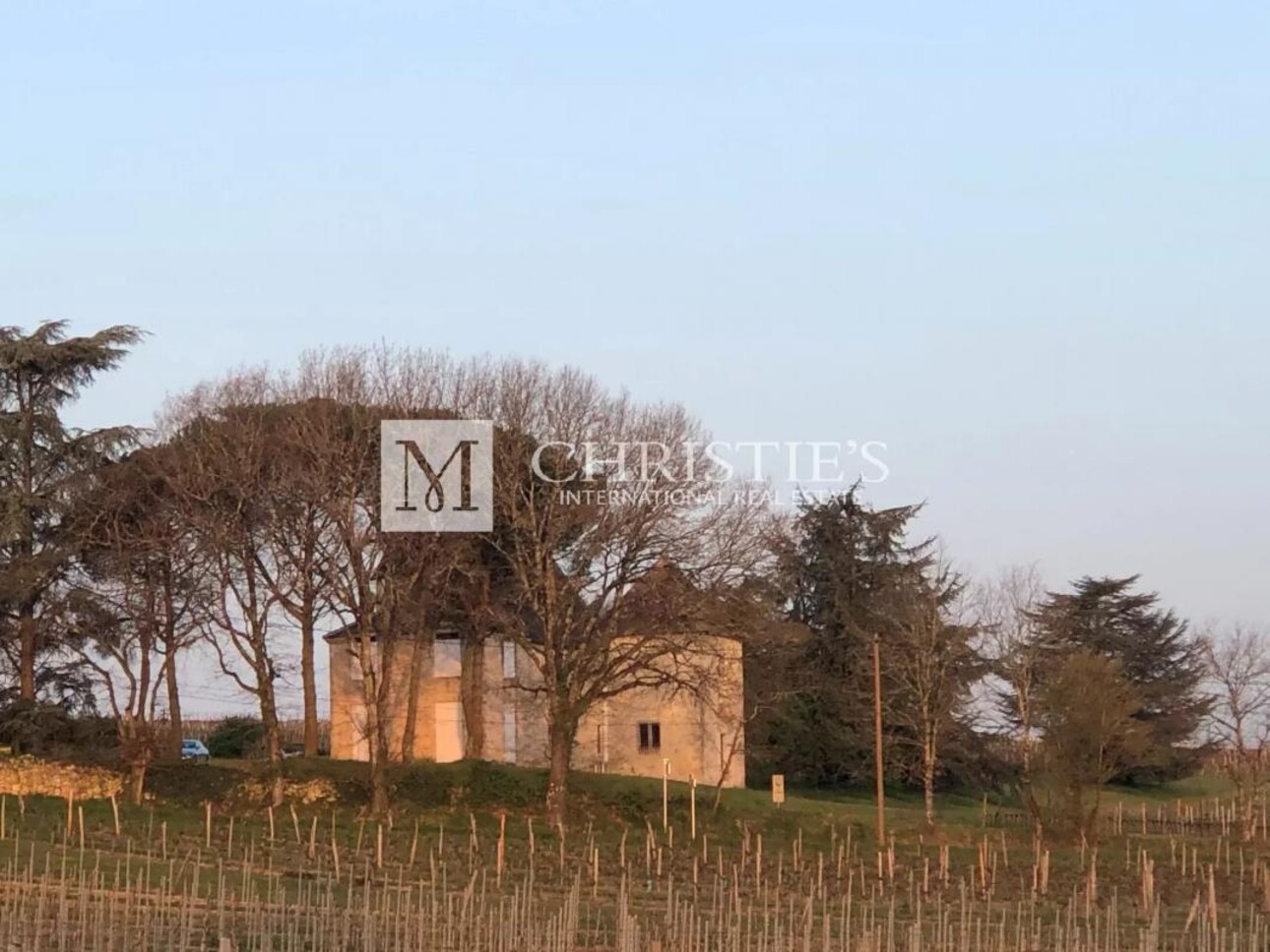 Photos 17 - Vineyard - Exclusive:  Entre-Deux-Mers Magnificent turnkey historic vineyard estate for sale