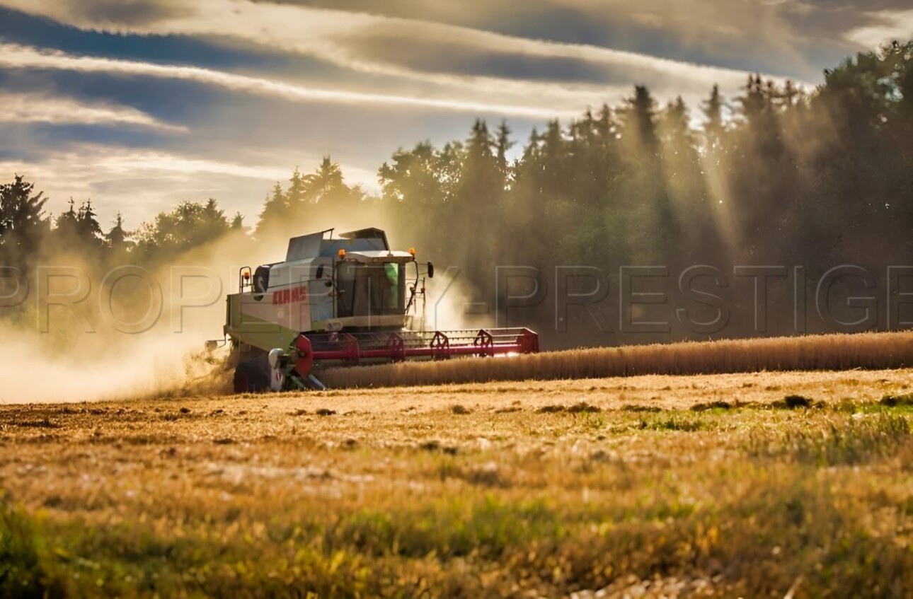 Photos 1 - Agricole - YONNE EXPLOITATION AGRICOLE 276 HA