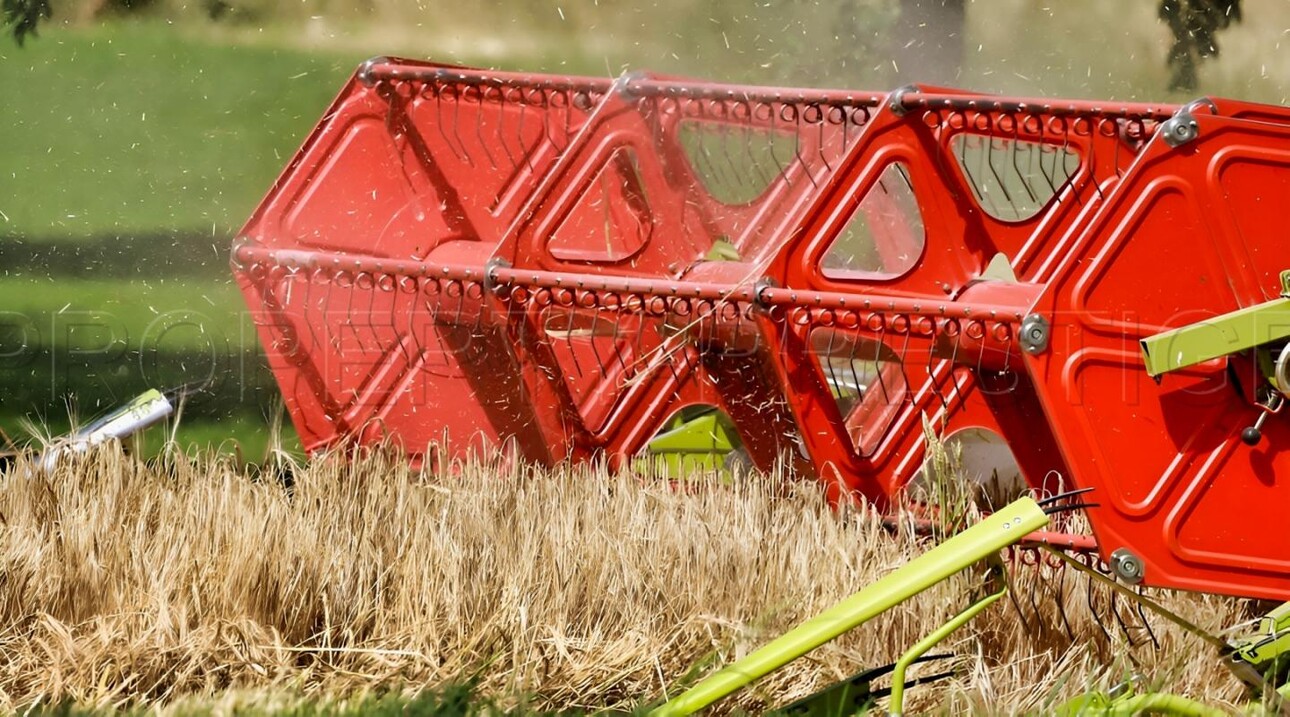 Photos 4 - Agricole - YONNE EXPLOITATION AGRICOLE 276 HA