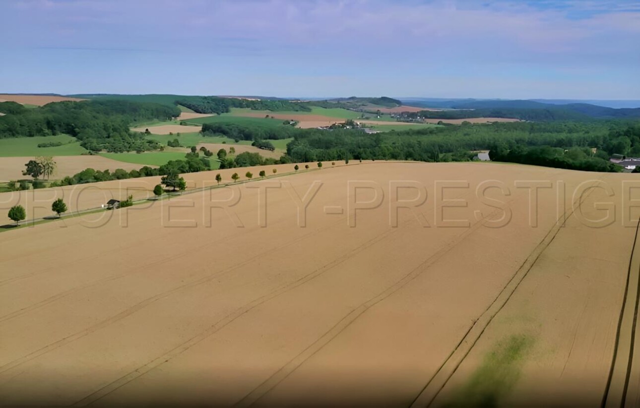 Photos 5 - Agricole - YONNE EXPLOITATION AGRICOLE 276 HA