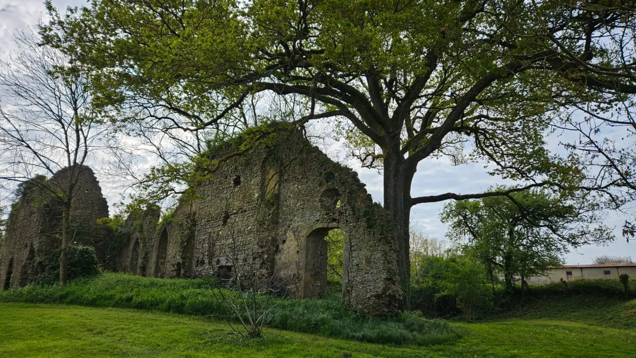 Photos 8 - Touristique - Maison à rénover avec son étang sur près de 5ha