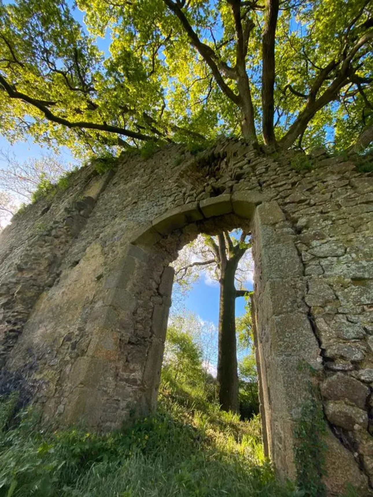 Photos 9 - Touristique - Maison à rénover avec son étang sur près de 5ha