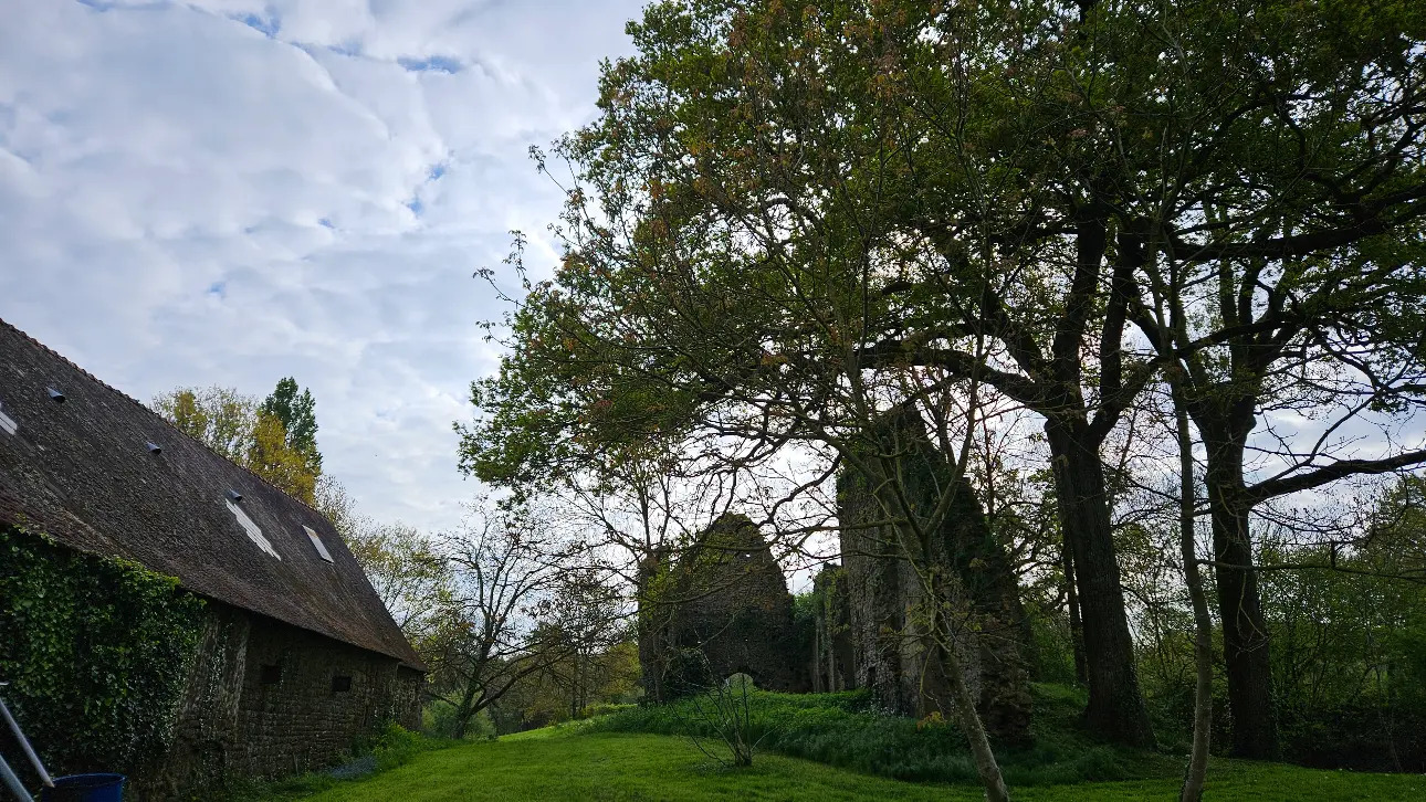 Photos 11 - Tourist - Maison à rénover avec son étang sur près de 5ha