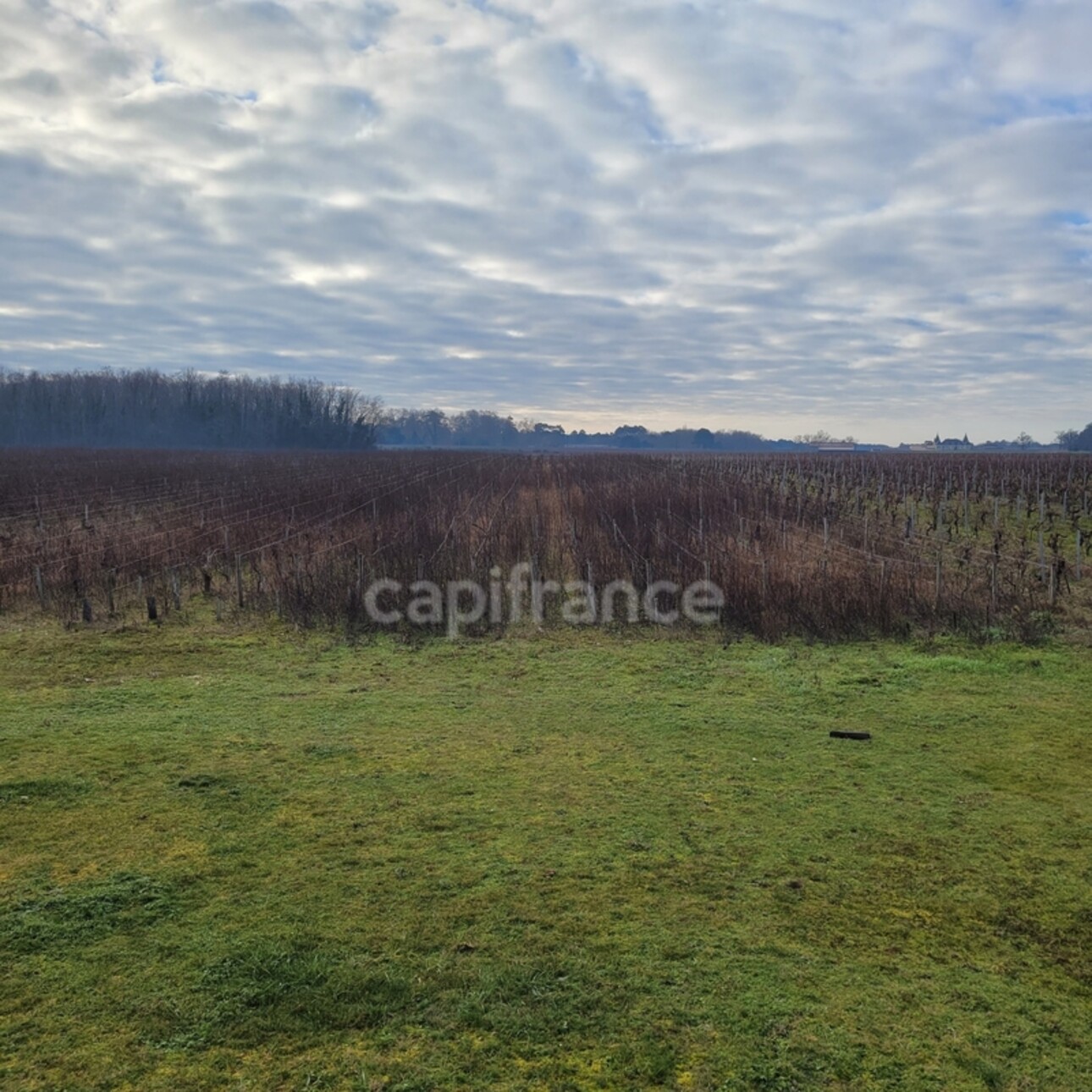 Photos 22 - Tourist - Dpt Gironde (33), à vendre SAINT SAUVEUR propriete avec nombreuses dépendances