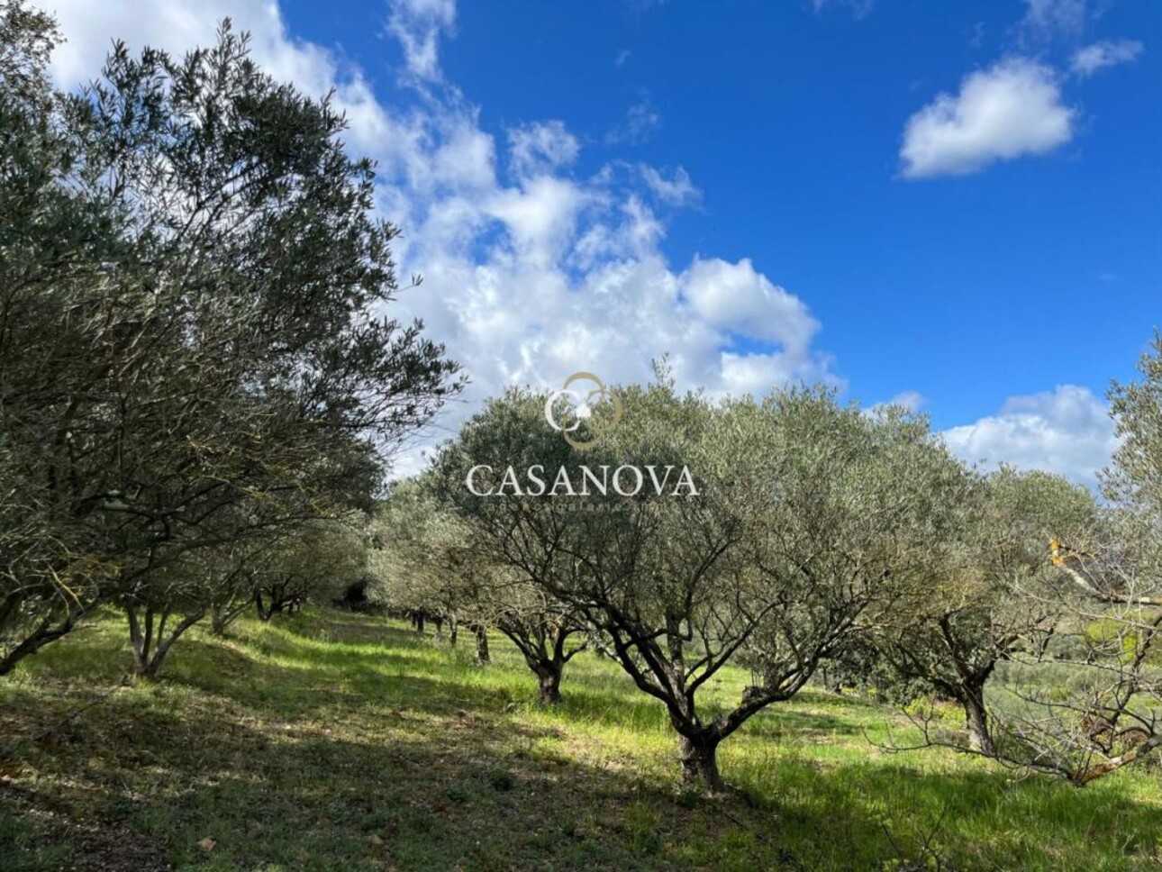 Photos 7 - Tourist - Small provençal farmhouse