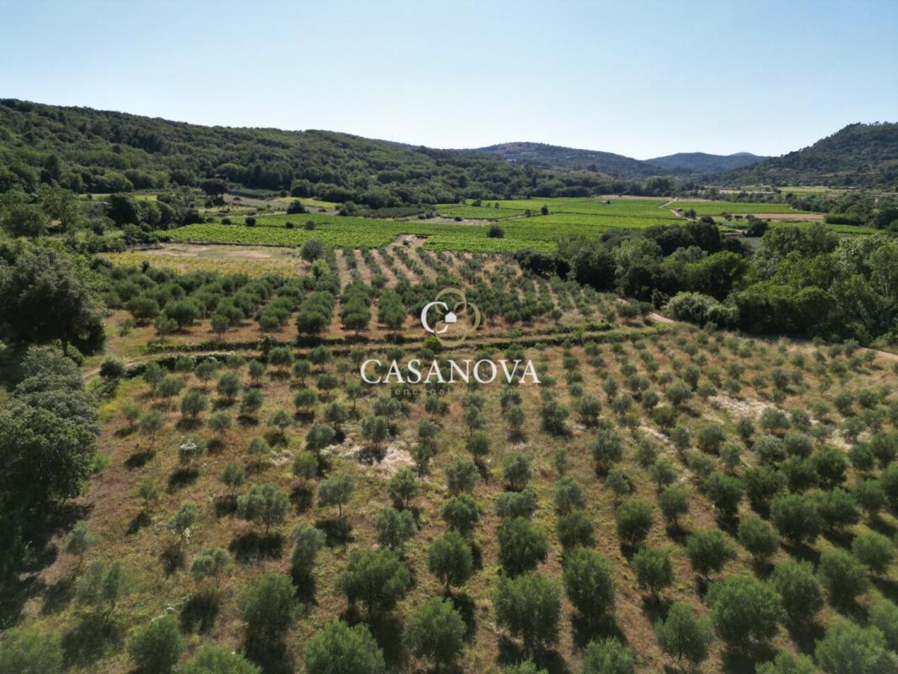 Photos 15 - Tourist - Small provençal farmhouse