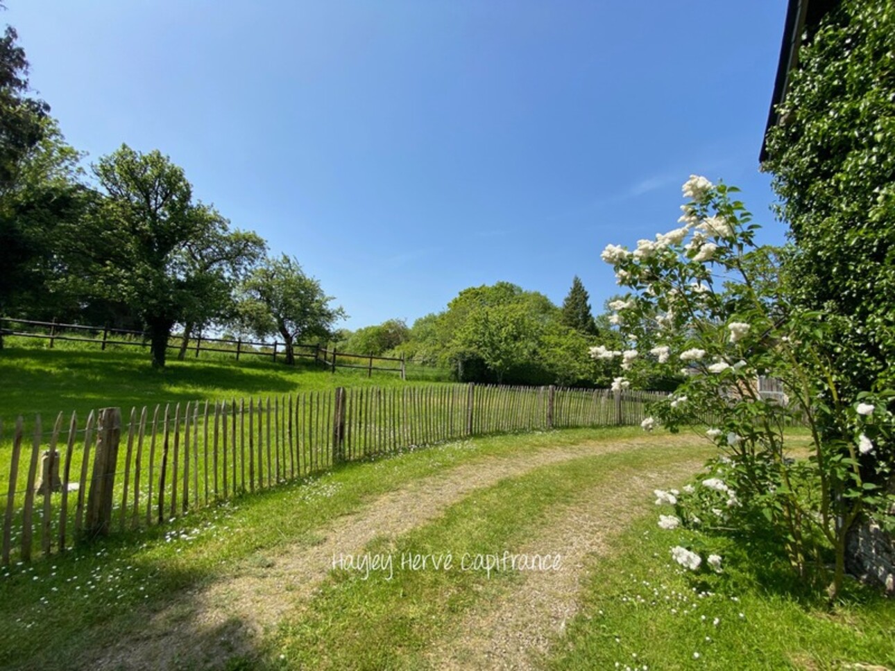 Photos 43 - Touristique - Dpt Calvados (14), à vendre au sud de BAYEUX propriéte P10 plus gite plus hectares