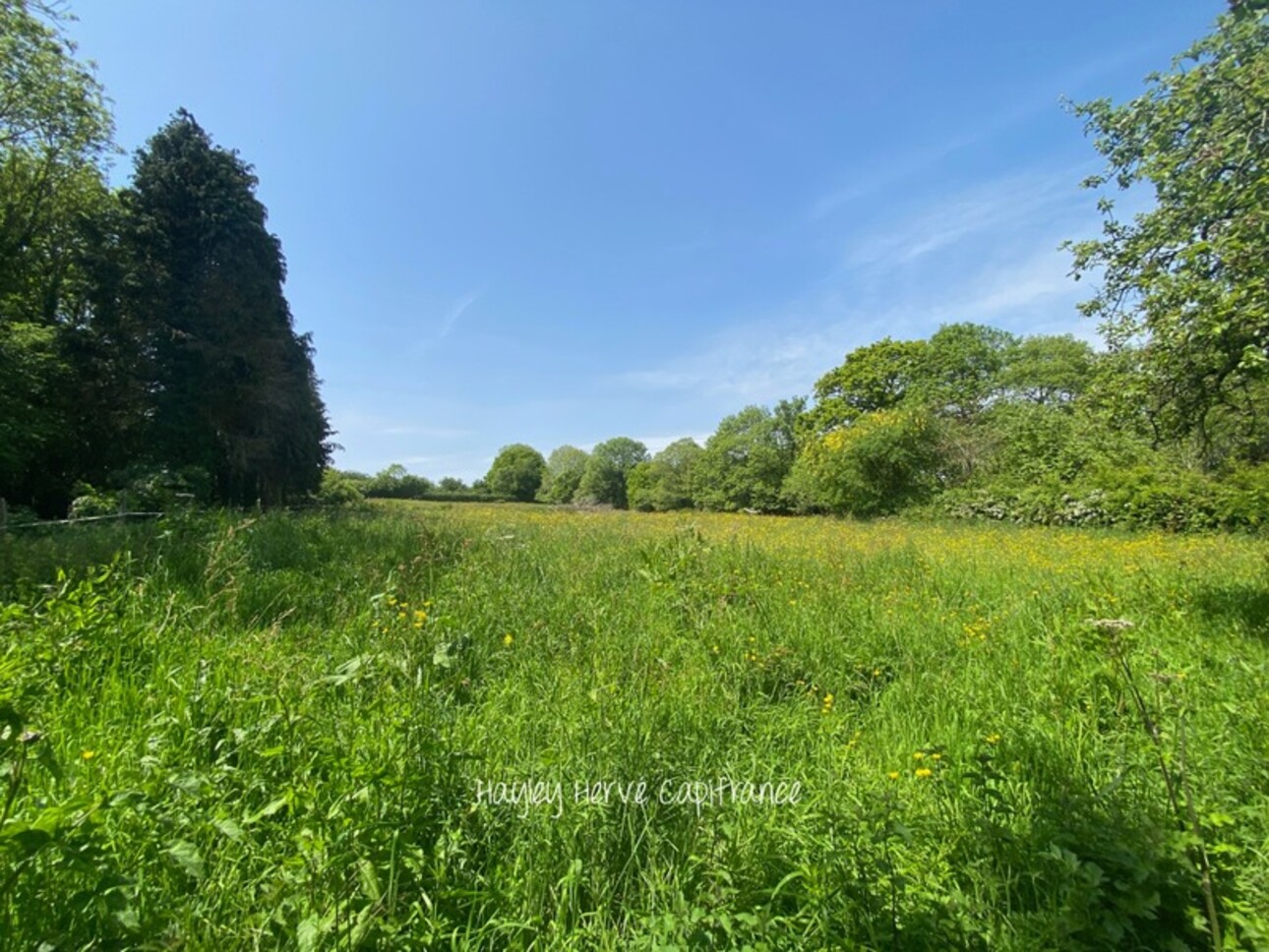 Photos 45 - Touristique - Dpt Calvados (14), à vendre au sud de BAYEUX propriéte P10 plus gite plus hectares