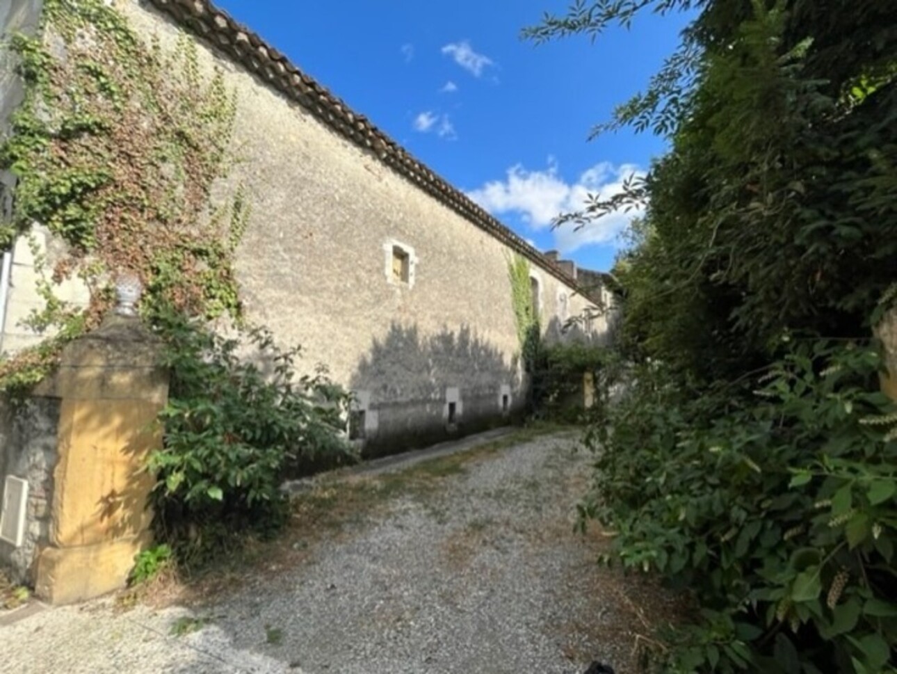 Photos 17 - Prestigious - Dpt (31): Toulouse south 45 minutes, BEAUTIFUL 19th century CHATEAU of 800m2, receptions on SECULAR