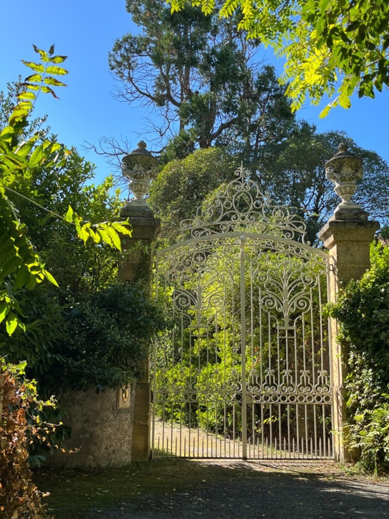 Photos 47 - Prestigious - Dpt (31): Toulouse south 45 minutes, BEAUTIFUL 19th century CHATEAU of 800m2, receptions on SECULAR