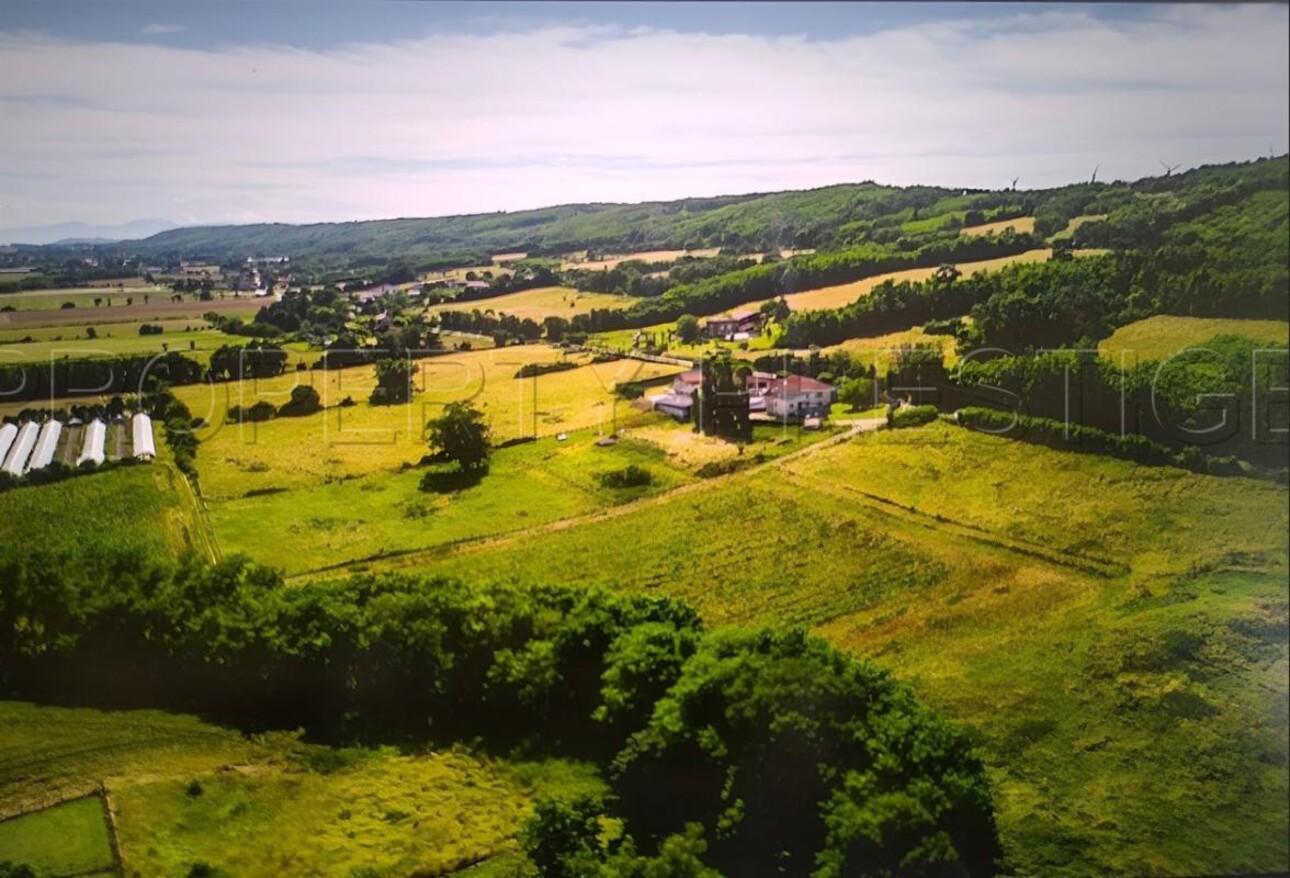 Photos 2 - Agricole - DROME PROPRIETE AGRICOLE 23 HA