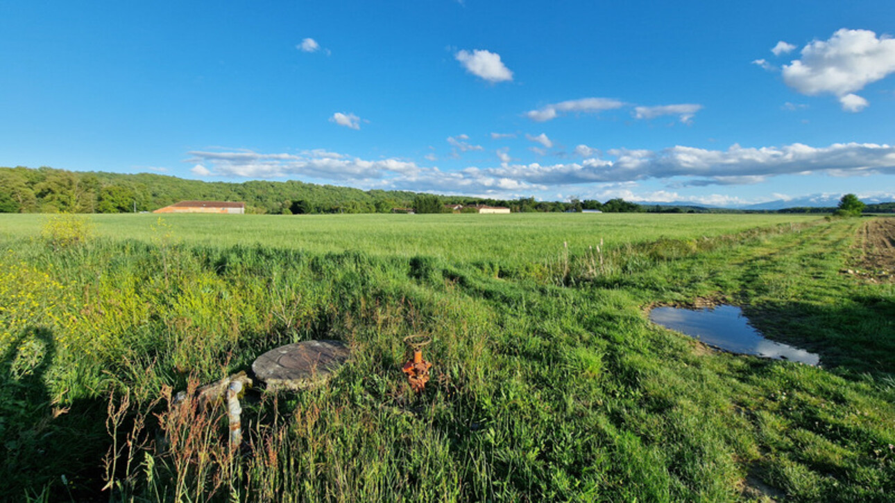 Photos 1 - Agricole - Dpt Gers (32), à vendre proche de DUFFORT terrain