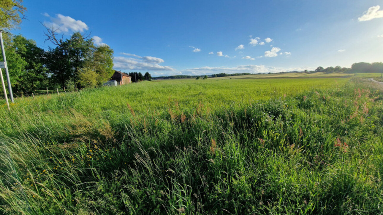 Photos 2 - Agricole - Dpt Gers (32), à vendre proche de DUFFORT terrain