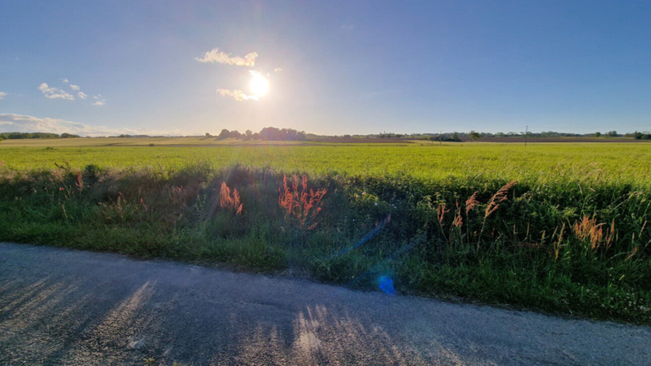 Photos 4 - Agricole - Dpt Gers (32), à vendre proche de DUFFORT terrain