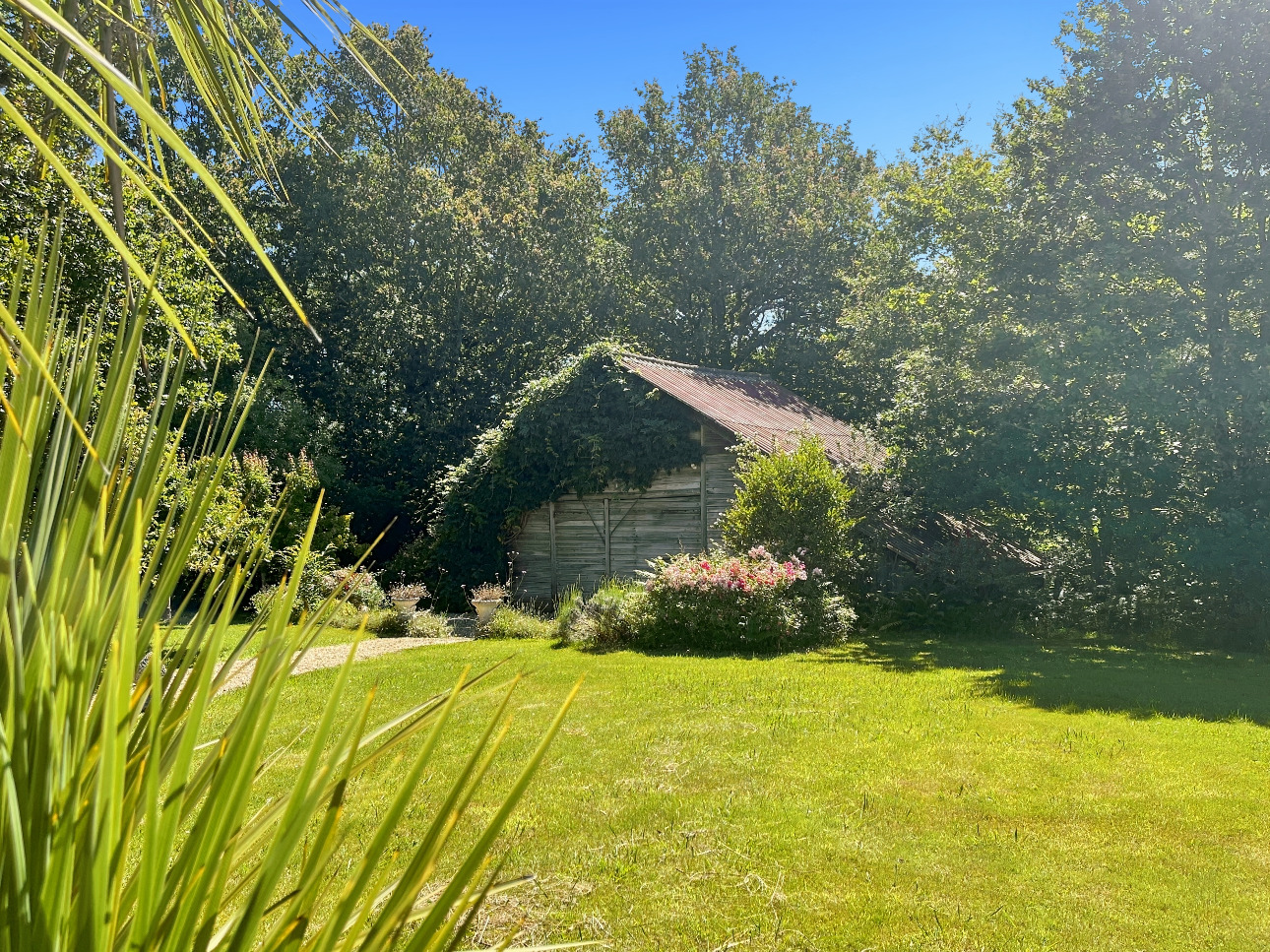 Photos 3 - Equestrian - Charming property 20 minutes from Landes beaches