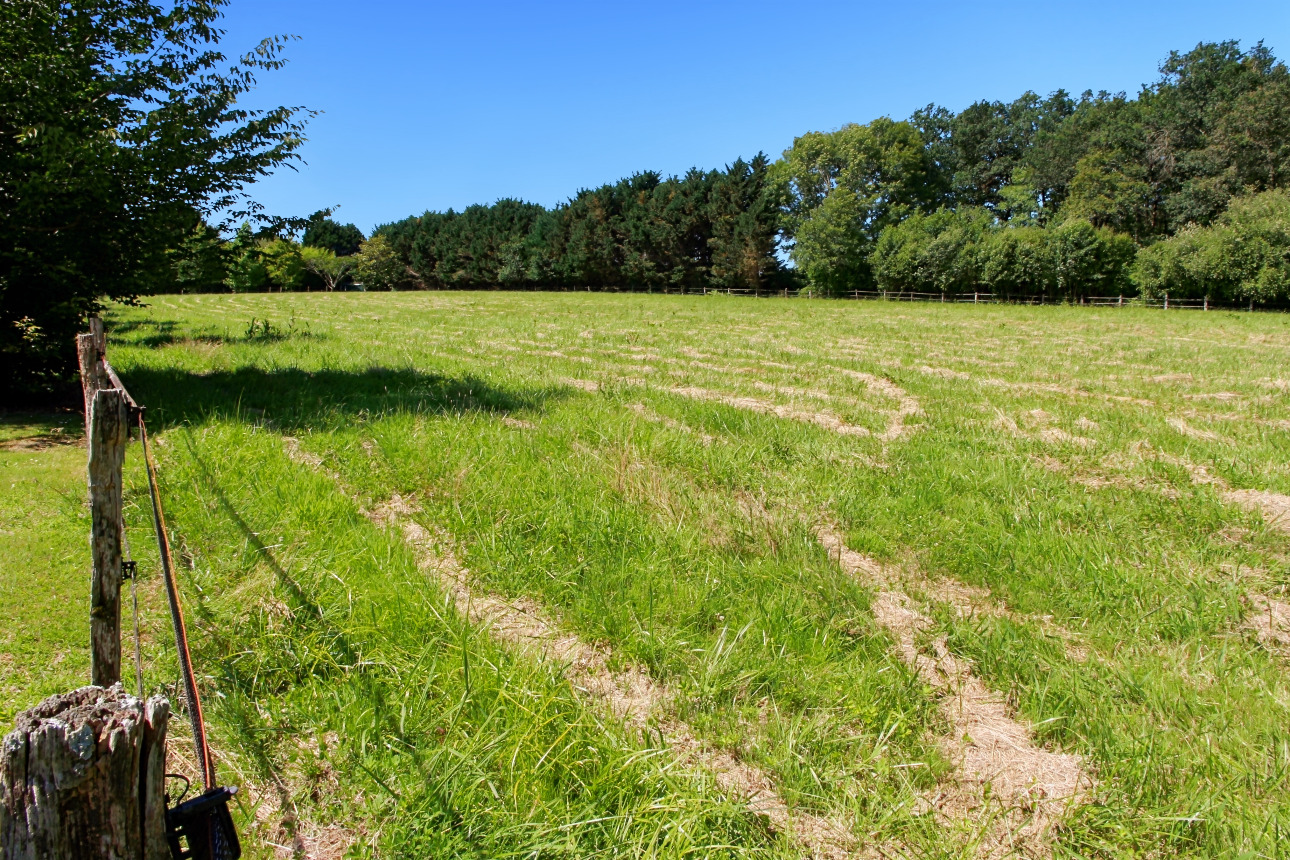 Photos 5 - Equestrian - Charming property 20 minutes from Landes beaches