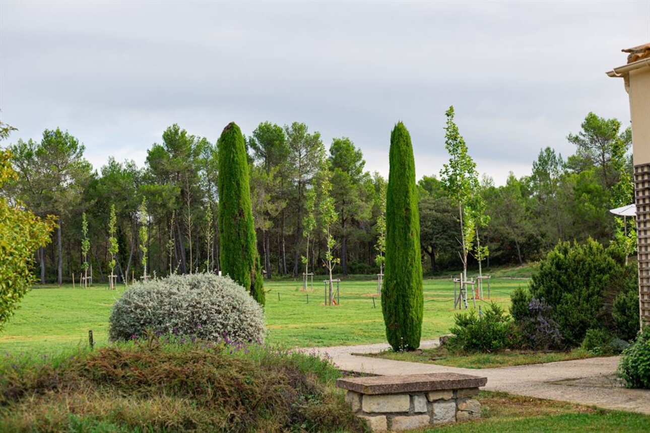 Photos 10 - Touristique - Montpellier à 20 minutes - Propriété dans un environnement préservé