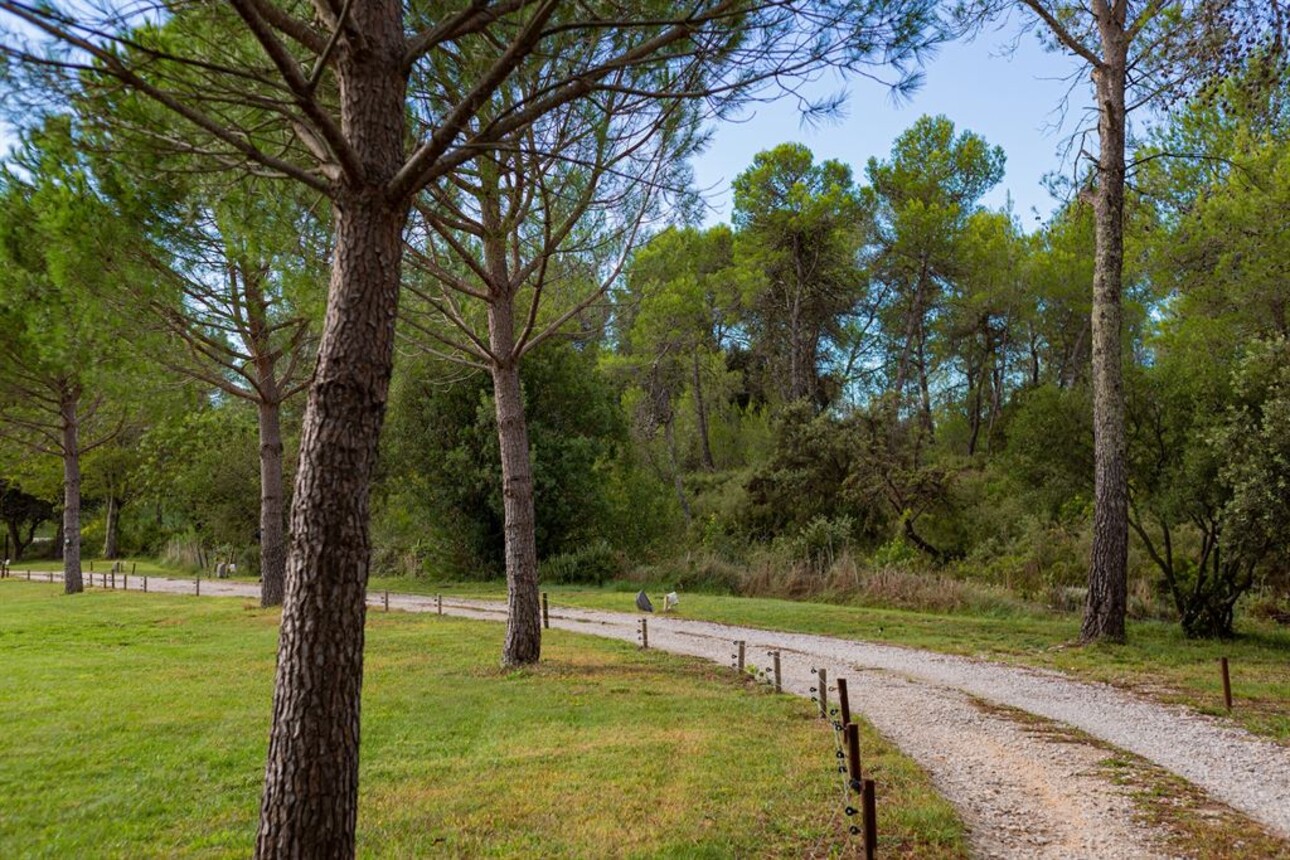 Photos 11 - Tourist - Montpellier 20 minutes -  Property with swimming poolsin the heart of a park