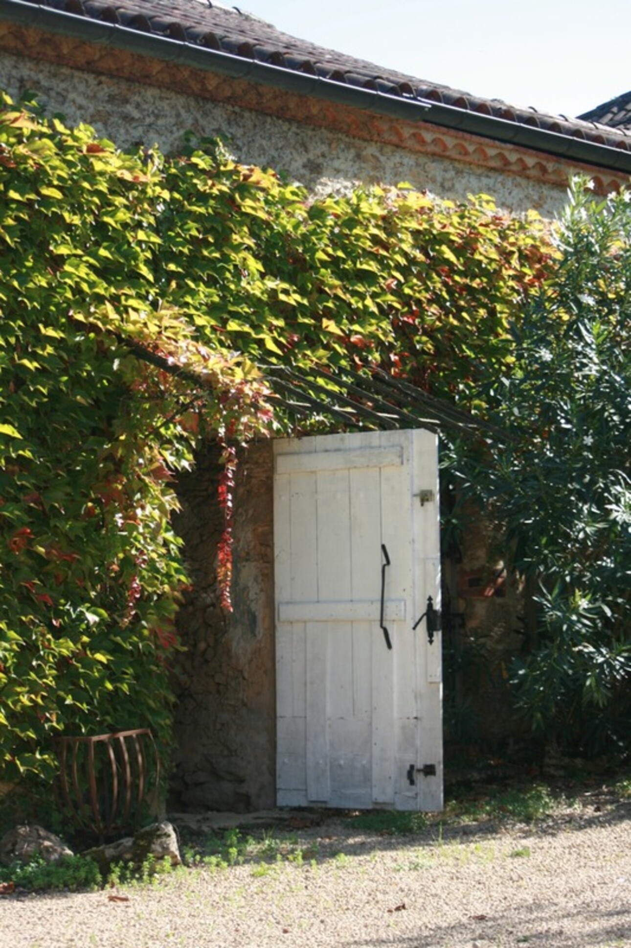 Photos 30 - Prestige - Dpt Gers (32), à vendre NOGARO proche, PROPRIETE D'EXCEPTION,4.5 hectares, MAISON de MAITRE, GITE, deux piscines neuves, parc séculaire, SANS NUISANCE