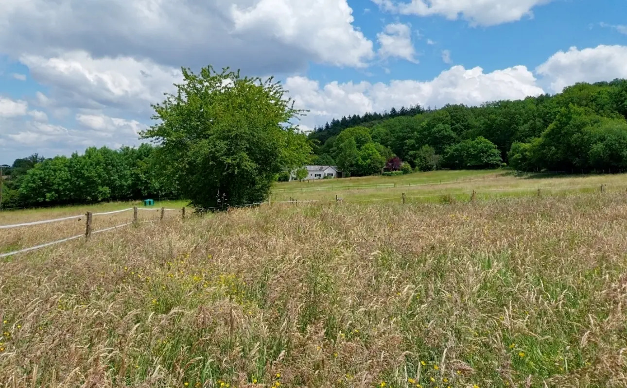 Photos 2 - Agricole - Havre de paix sur 6.5ha en pied de forêt