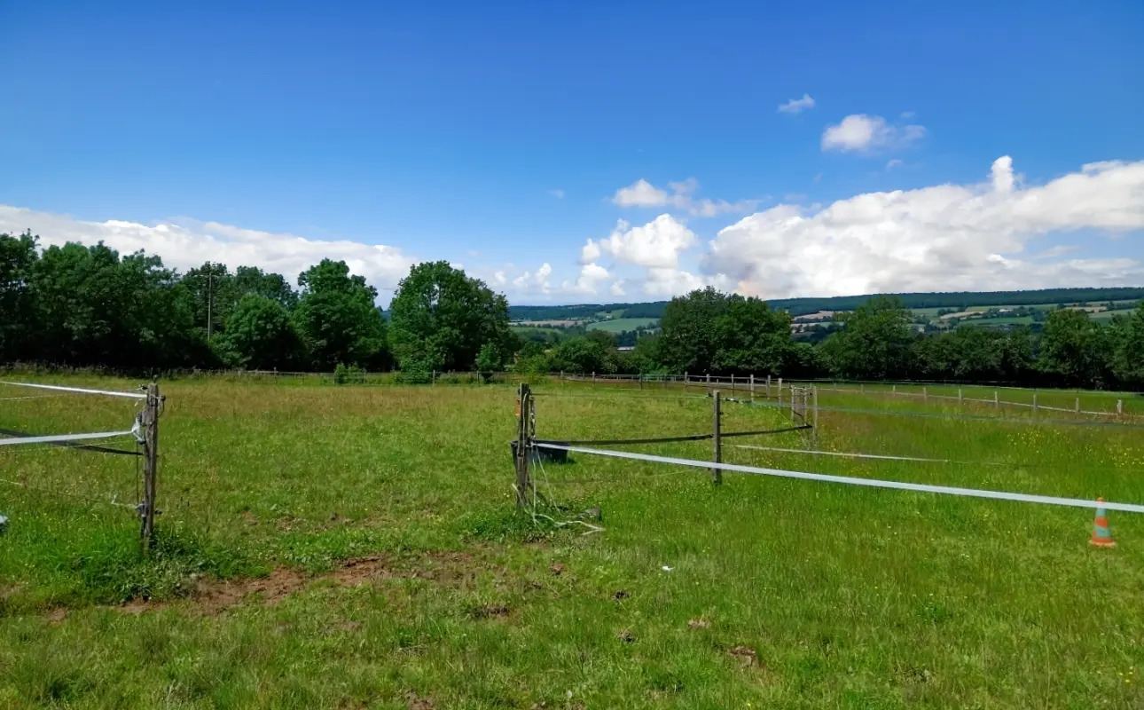 Photos 7 - Agricole - Havre de paix sur 6.5ha en pied de forêt