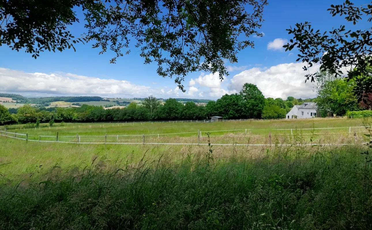 Photos 9 - Agricultural - A piece of heaven on 16 acres of grazing land close to domanial forest