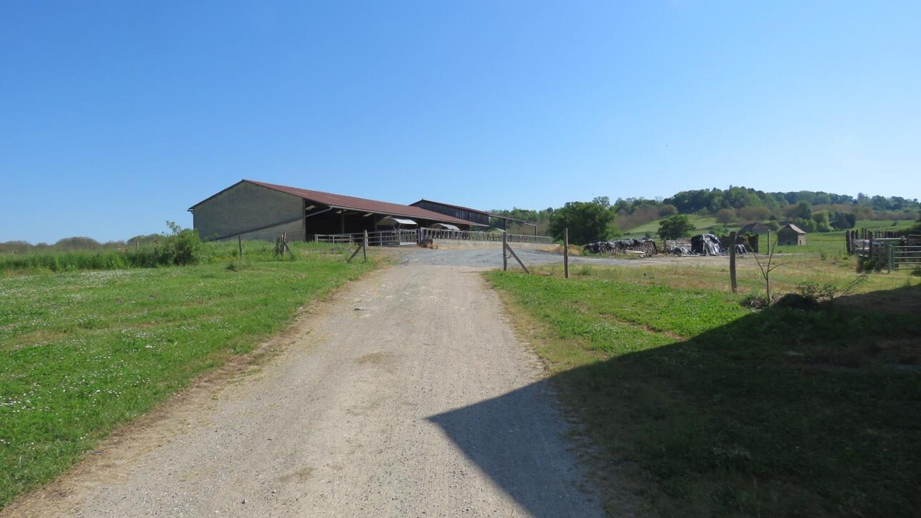 Photos 7 - Agricultural - Agricultural property (free) (19ha 70a) with outbuildings, 2