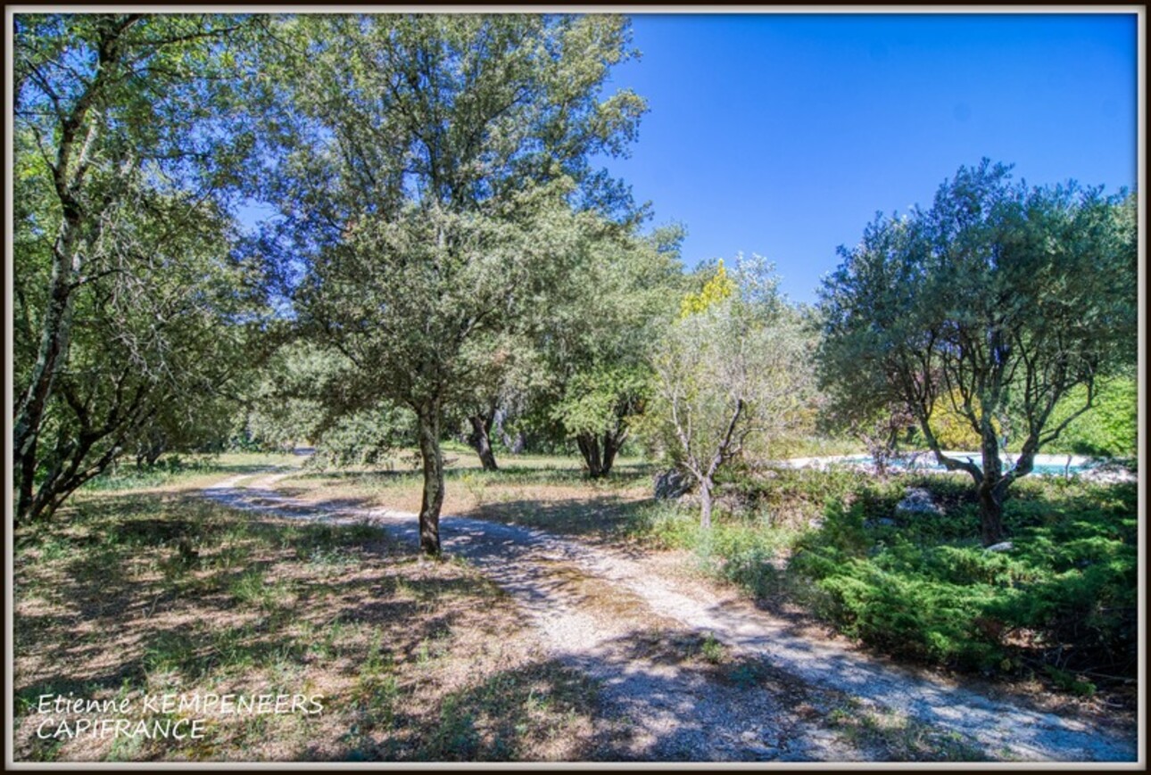 Photos 15 - Prestige - LORGUES Propriété avec 2 maisons indépendantes et 8 chambres sur un terrain arboré de 15.000 m2 avec piscine