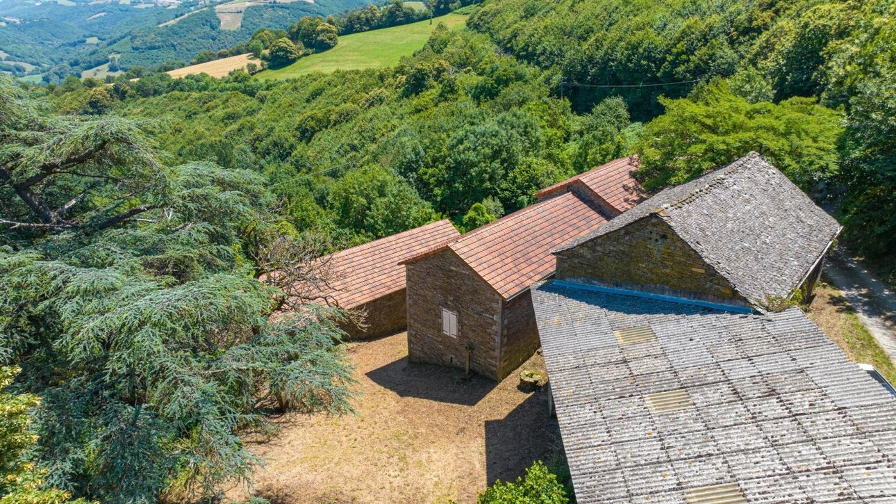 Photos 11 - Equestrian - Provençal (farm)house