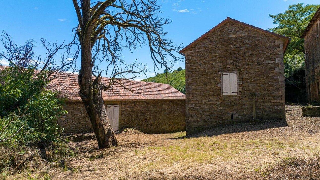 Photos 13 - Equestrian - Provençal (farm)house