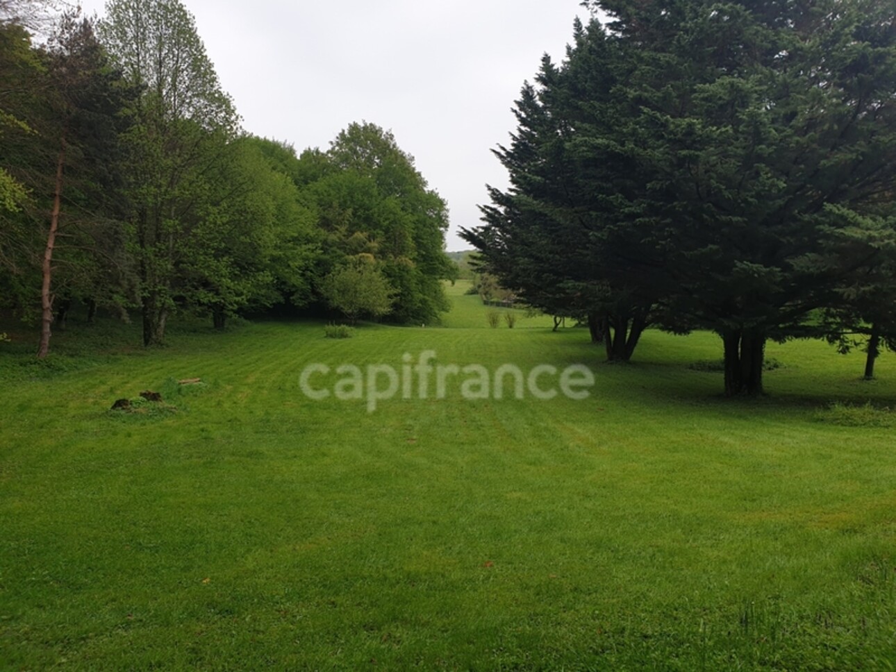 Photos 3 - Prestigious - Dpt Jura (39), à vendre proximité de Lons le saunier propriété P6 de 160 m² - Terrain de 15 196,00 m²