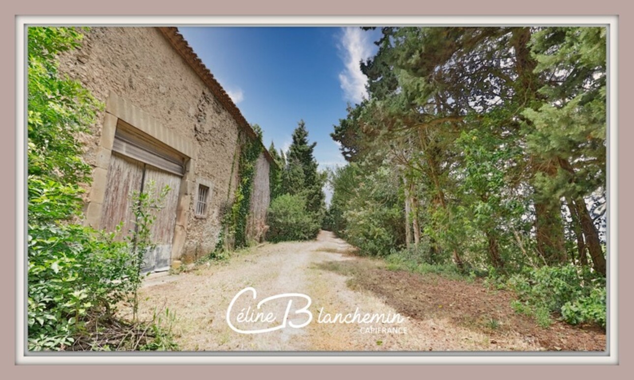 Photos 20 - Prestigious - Property for sale 32 rooms near CARCASSONNE (11) 2 homes + park + outbuildings