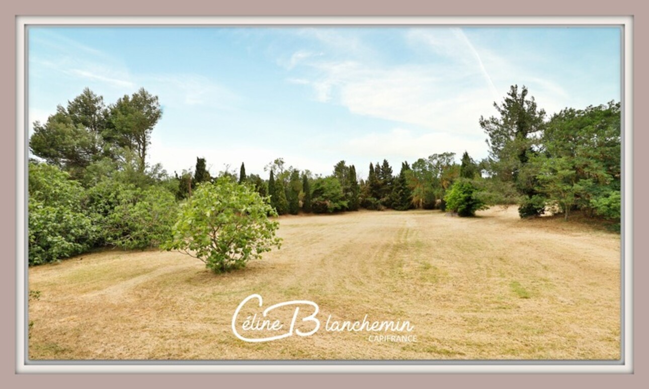 Photos 27 - Prestigious - Property for sale 32 rooms near CARCASSONNE (11) 2 homes + park + outbuildings