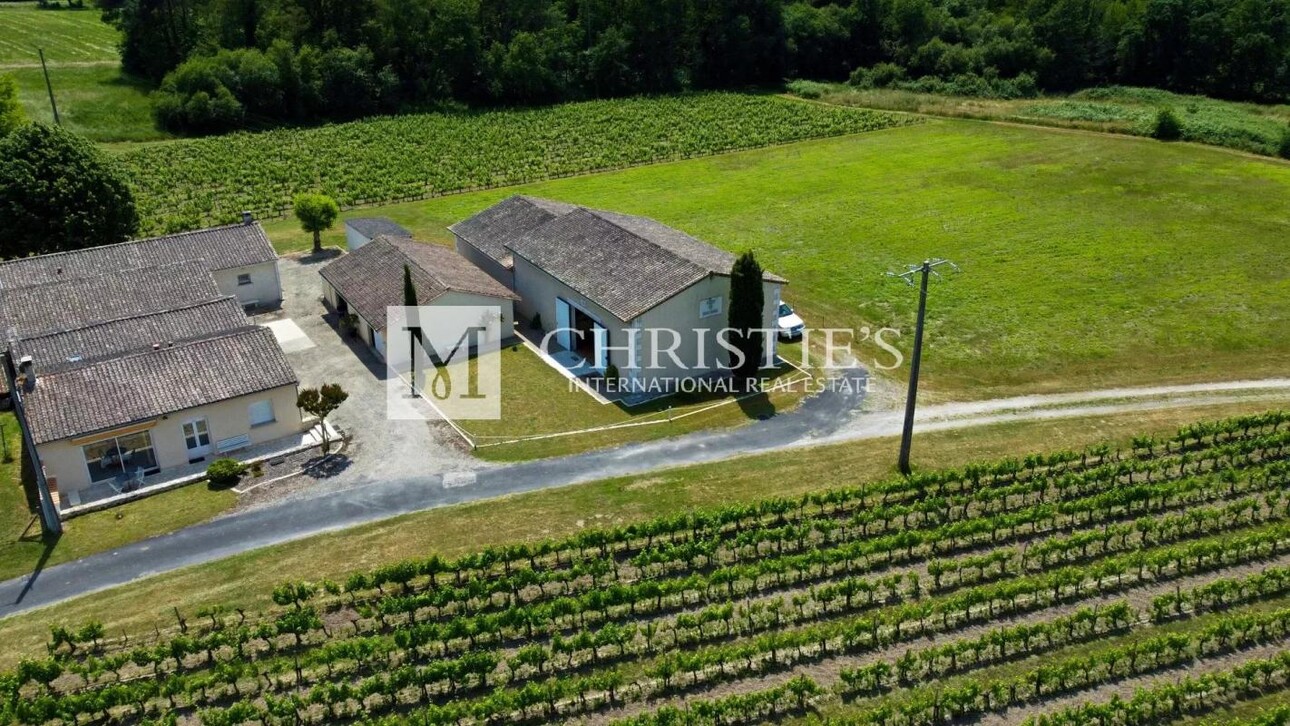 Photos 5 - Vineyard - Lovely 3-hectare hobby vineyard - 1.75 ha of vines in AOC Côtes de Bordeaux