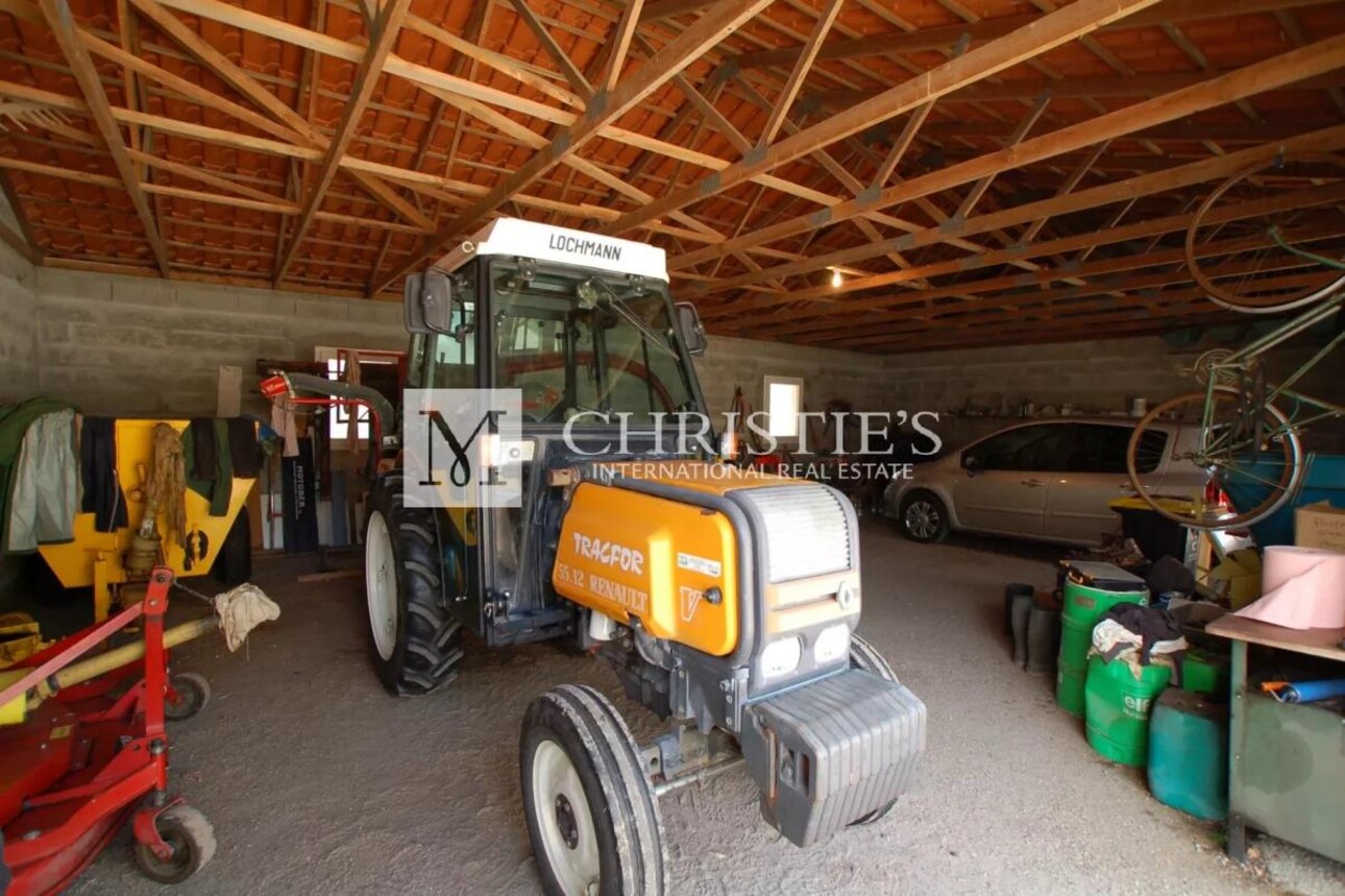 Photos 10 - Viticole - Charmante propriété d'agrément de 3 ha - 1.75 ha de vigne en AOC Côtes de Bordeaux