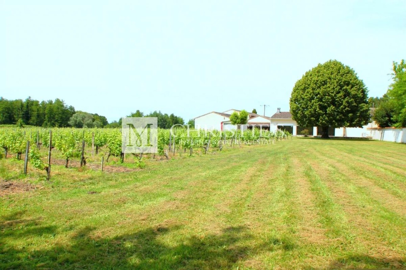 Photos 14 - Vineyard - Lovely 3-hectare hobby vineyard - 1.75 ha of vines in AOC Côtes de Bordeaux