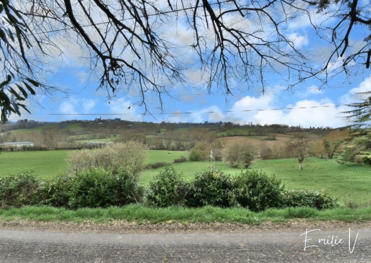 Photos 14 - Prestige - Propreté de 3 hectares avec Séchoir