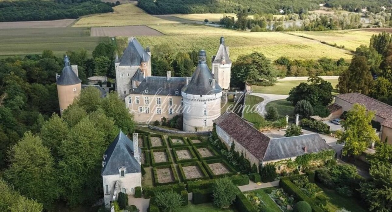 Photos 2 - Prestigious - Château for sale 60 rooms near CHATELLERAULT (86)