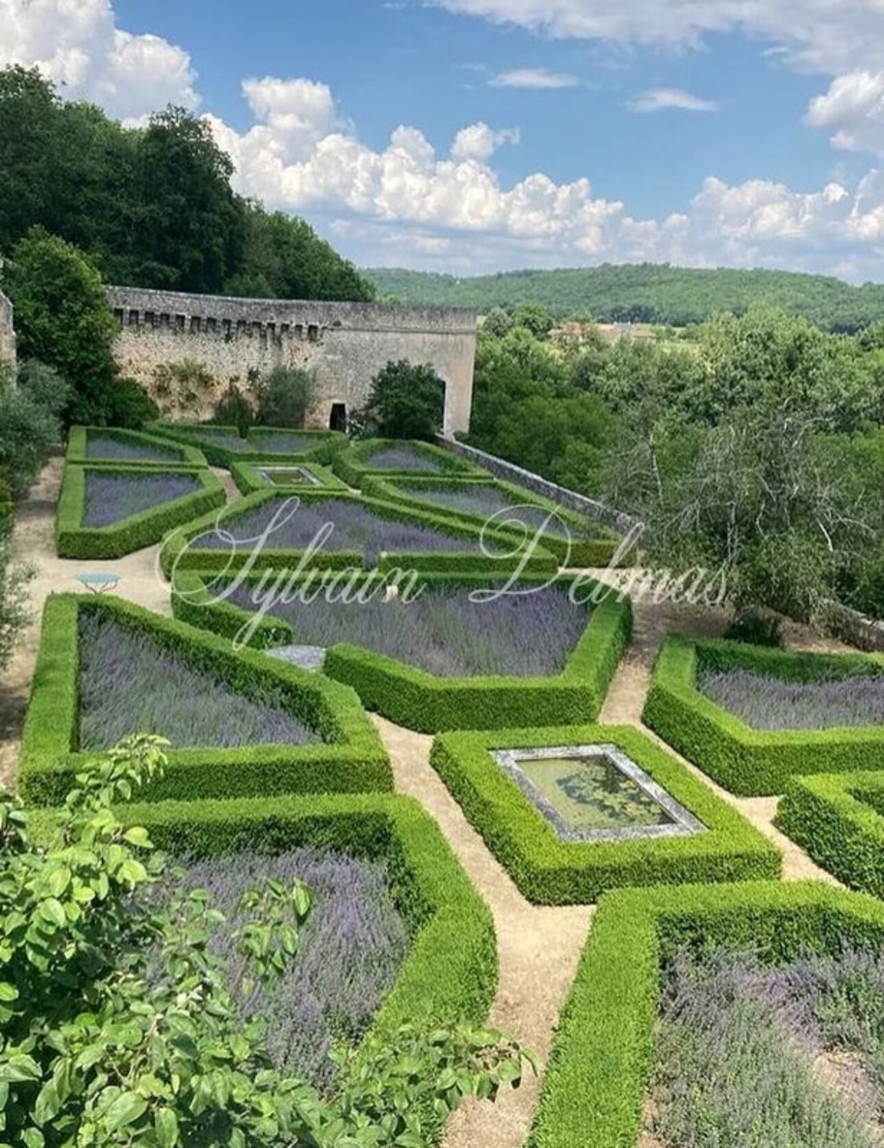 Photos 3 - Prestige - Château à vendre 60 pièces proche de CHATELLERAULT (86)