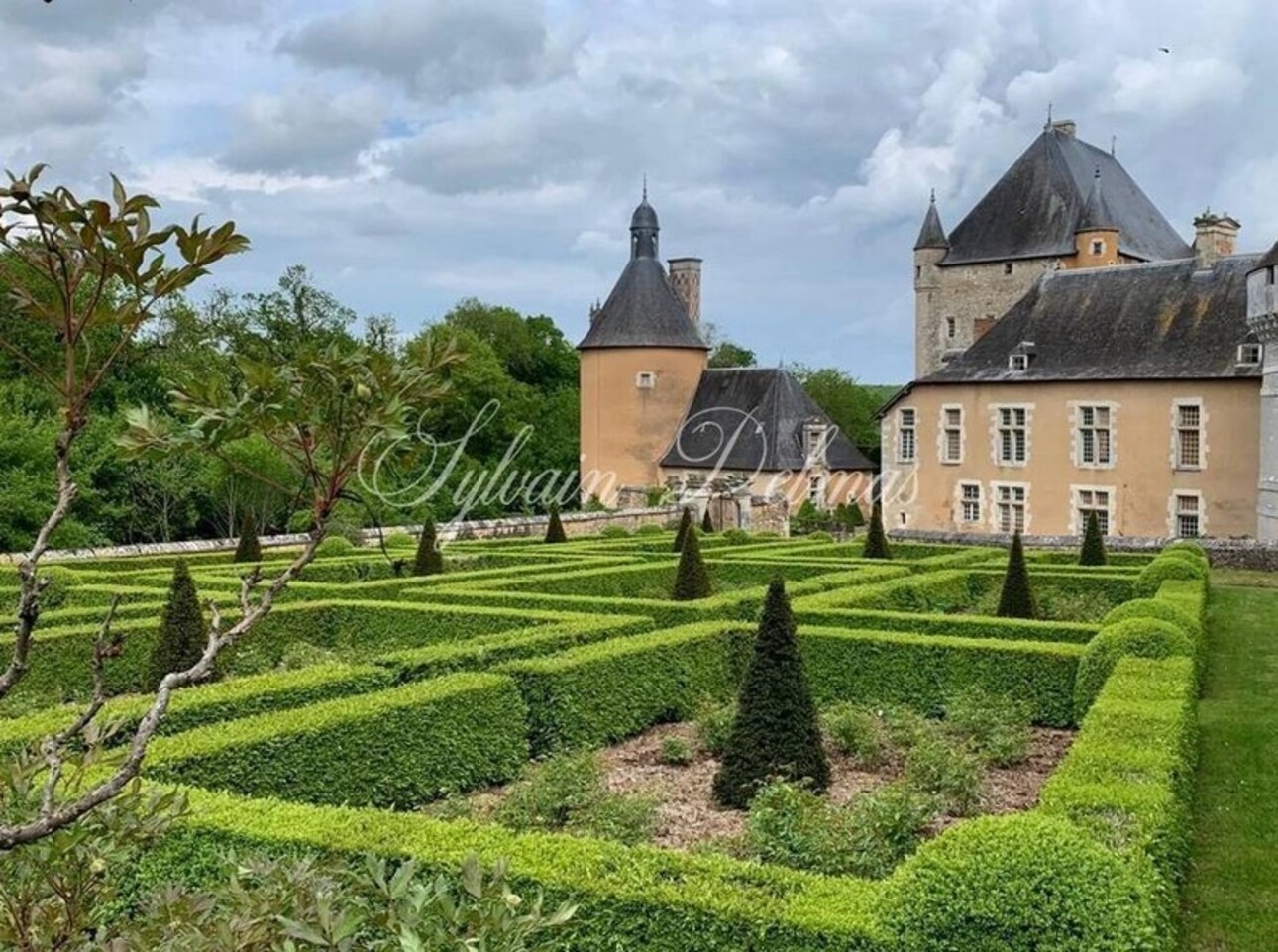 Photos 4 - Prestigious - Château for sale 60 rooms near CHATELLERAULT (86)