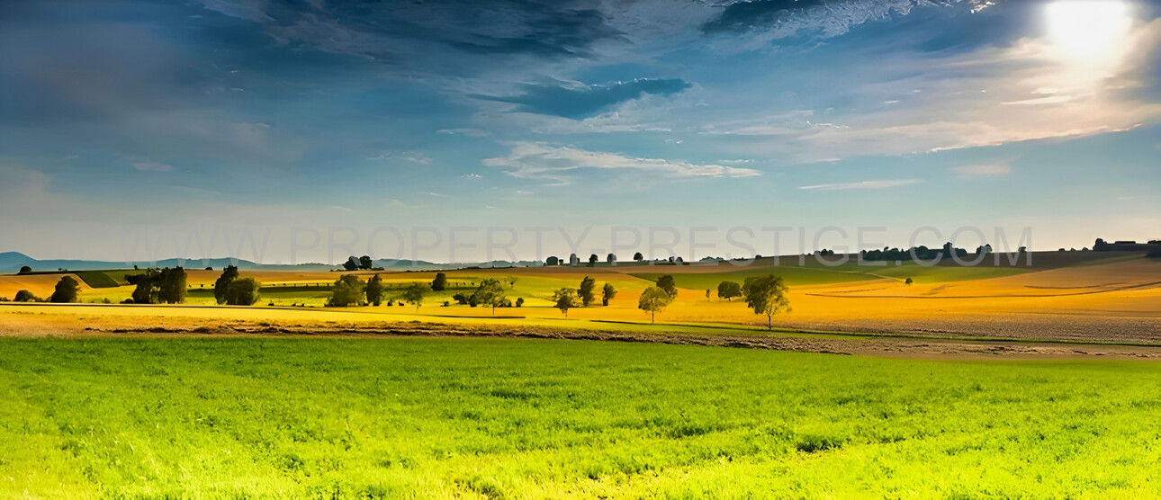 Photos 5 - Agricole - SUD-OUEST NOUVELLE AQUITAINE Exploitation 230 HA