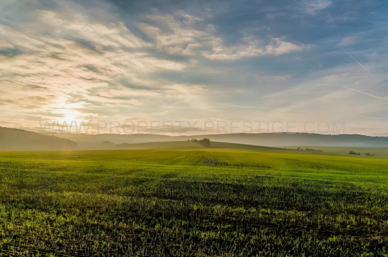 Photos 6 - Agricole - SUD-OUEST NOUVELLE AQUITAINE Exploitation 230 HA