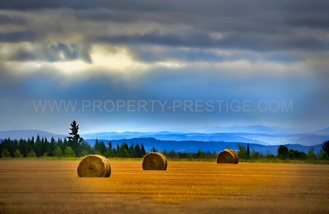 Photos 3 - Agricole - SUD-OUEST NOUVELLE AQUITAINE Exploitation 230 HA