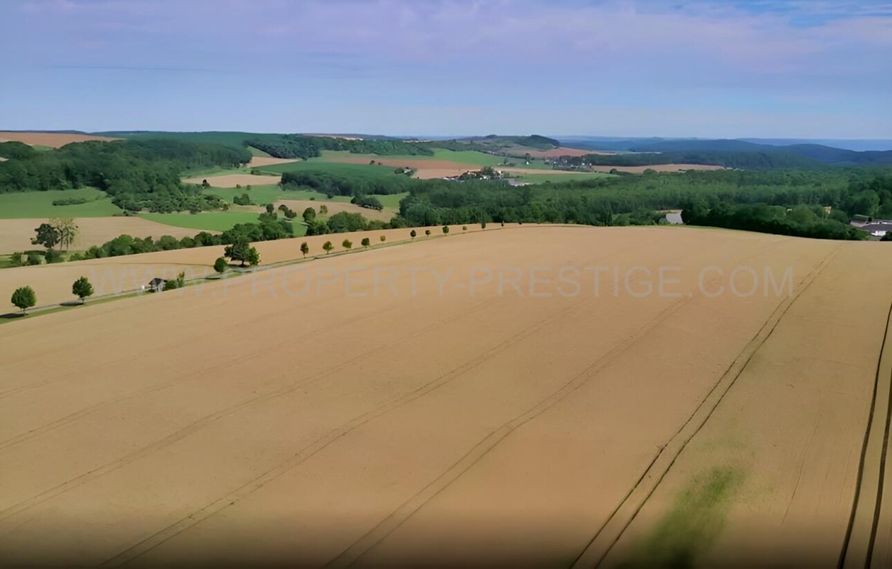 Photos 4 - Agricole - SUD-OUEST NOUVELLE AQUITAINE Exploitation 230 HA