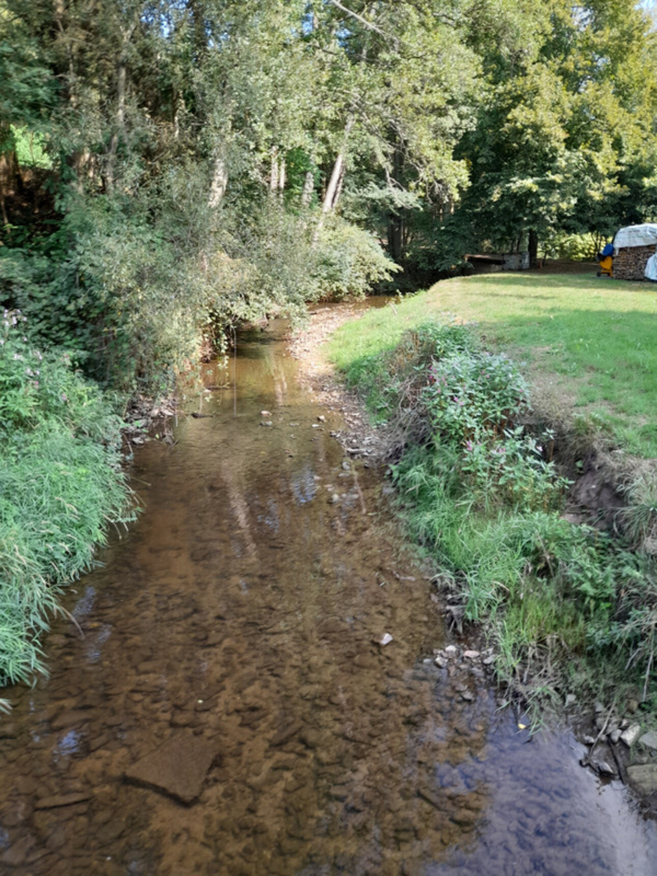 Photos 10 - Touristique - Ferme rénovée, sur 50 ares avec rivière