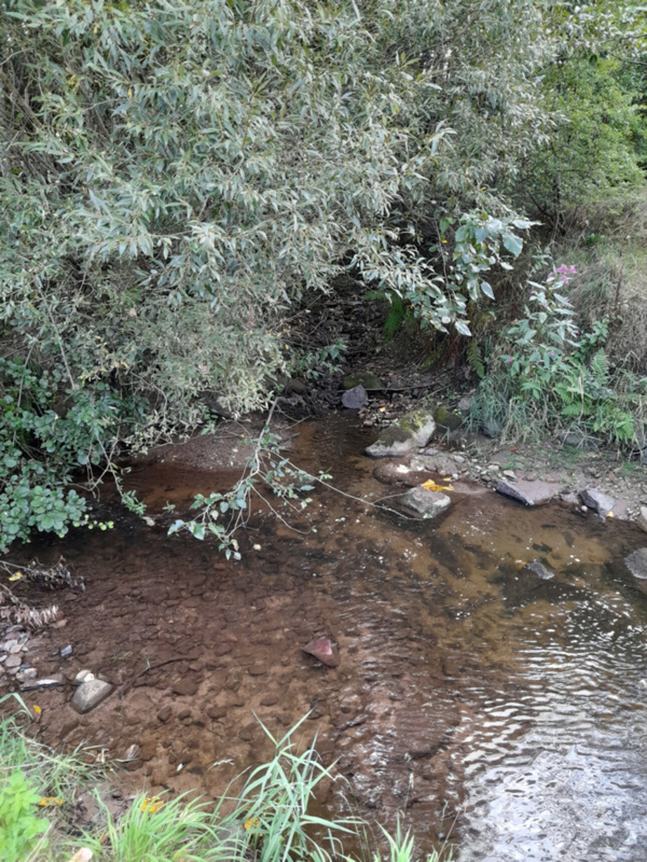 Photos 12 - Touristique - Ferme rénovée, sur 50 ares avec rivière