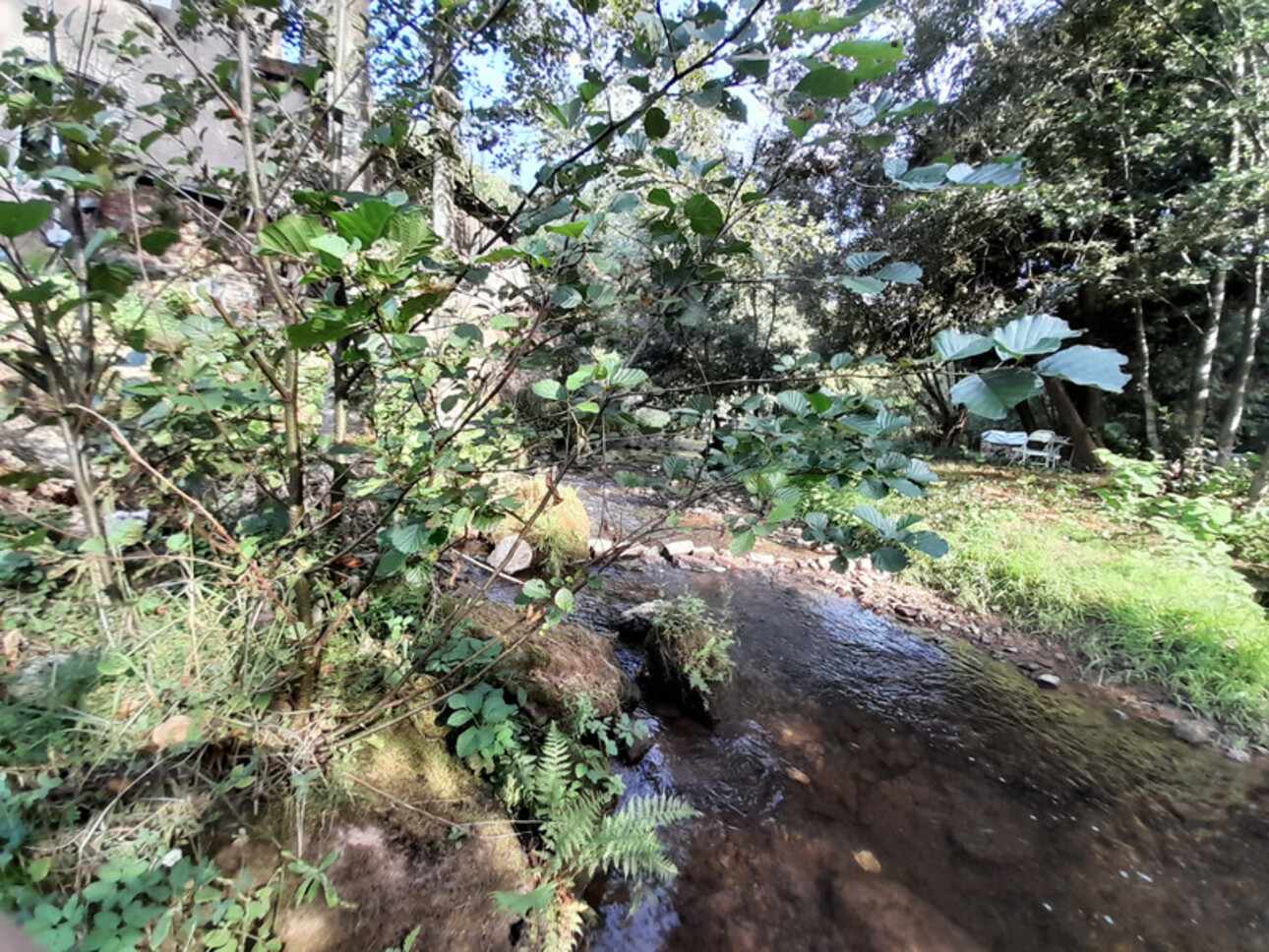 Photos 13 - Touristique - Ferme rénovée, sur 50 ares avec rivière